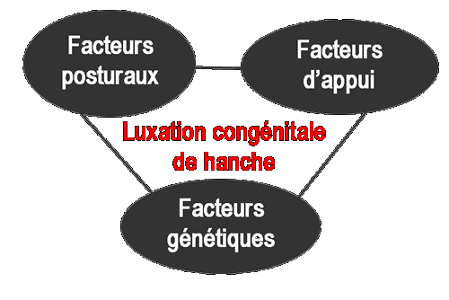 Facteurs de luxation de la hanche